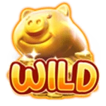 WILD SYMBOL