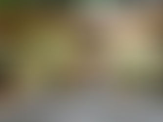 Xforce Keygen Forge 2019 Download PORTABLE 32-bit