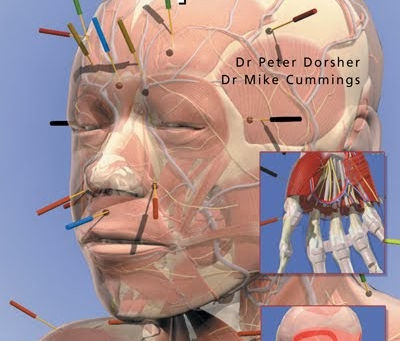 Anatomy For Acupuncture Download PORTABLE Torrent