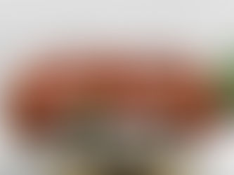 Ebp Batiment Pro V9 Torrent