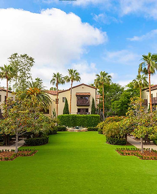 lawns-1-horz.jpg