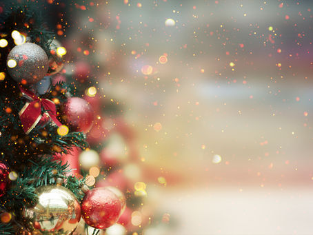 Merry Christmas from all of us here at McBee Farms! 