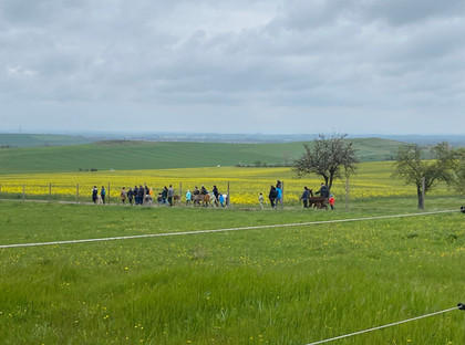Umgeben von einer tollen Landschaft wandern wir mit den Alpakas durch die Natur...