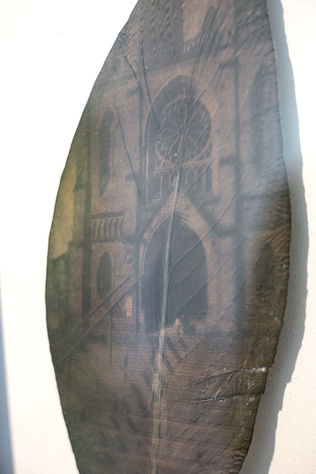 Sans titre, Anthotype encadré, 2021