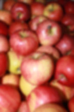Miniatura: Manzana Gala