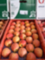 Miniatura: Manzana Gala