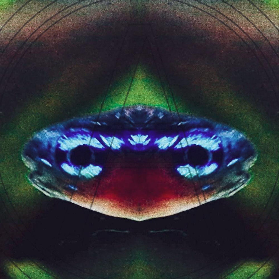 A3A6B663-E5B8-4E90-8896-FE9FADB82A51.JPG