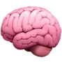 Brain%20Emoji%20(1)_edited.png