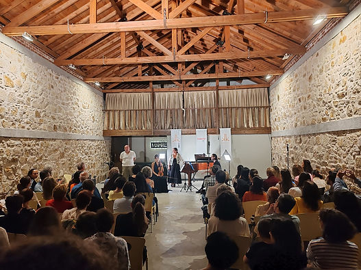 Mahal Koncert.jpg