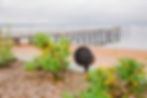 Outdoor Audio & Video