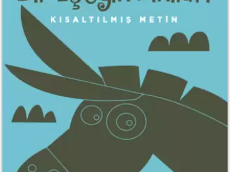 BİR EŞEĞİN ANILARI