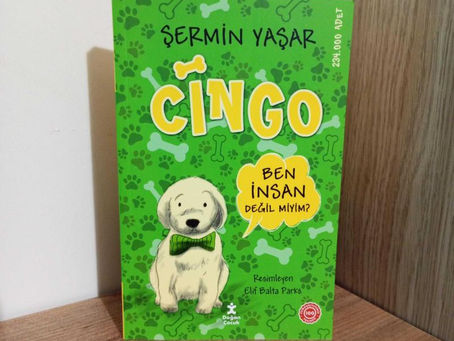 CİNGO