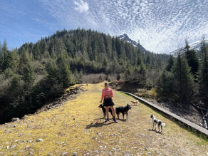 Fifteen Hundred Pounds