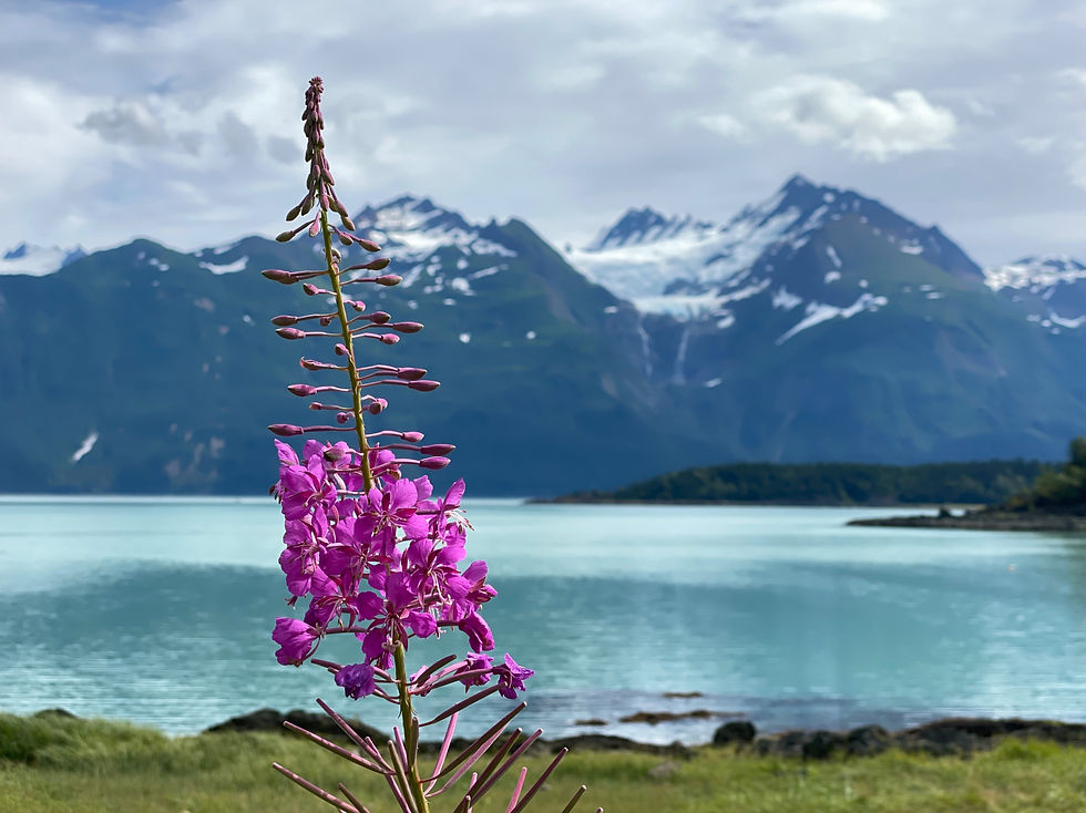 IMG_3543 copy_edited.jpg