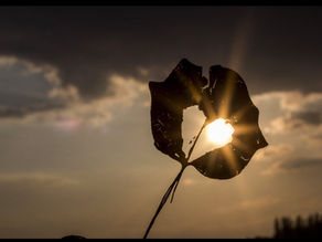 When Jealousy Whispered