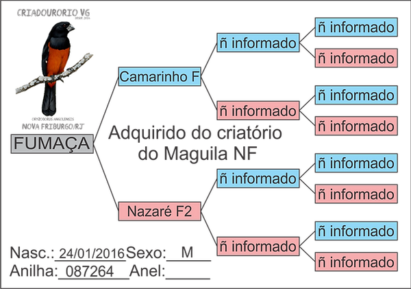 FUMAÇA.png