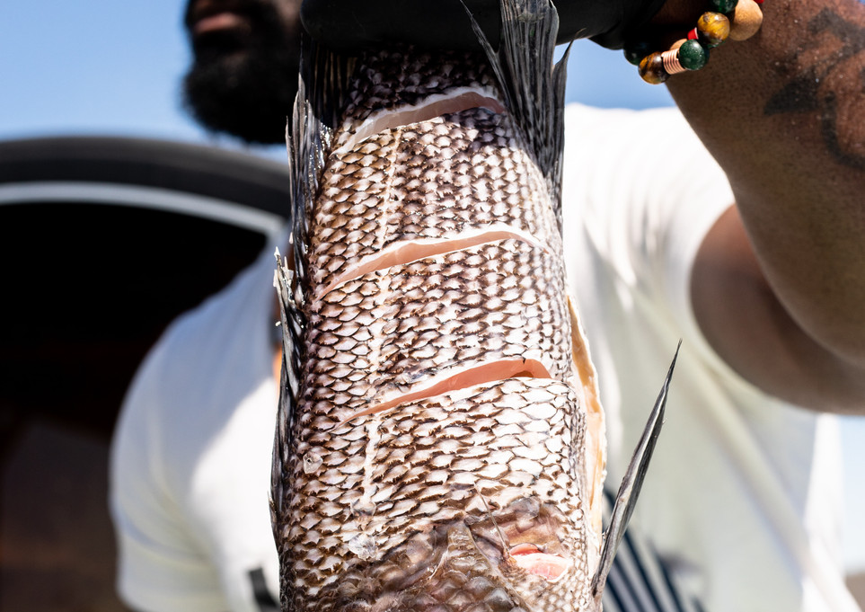 Copy of FishPickin-24.jpg