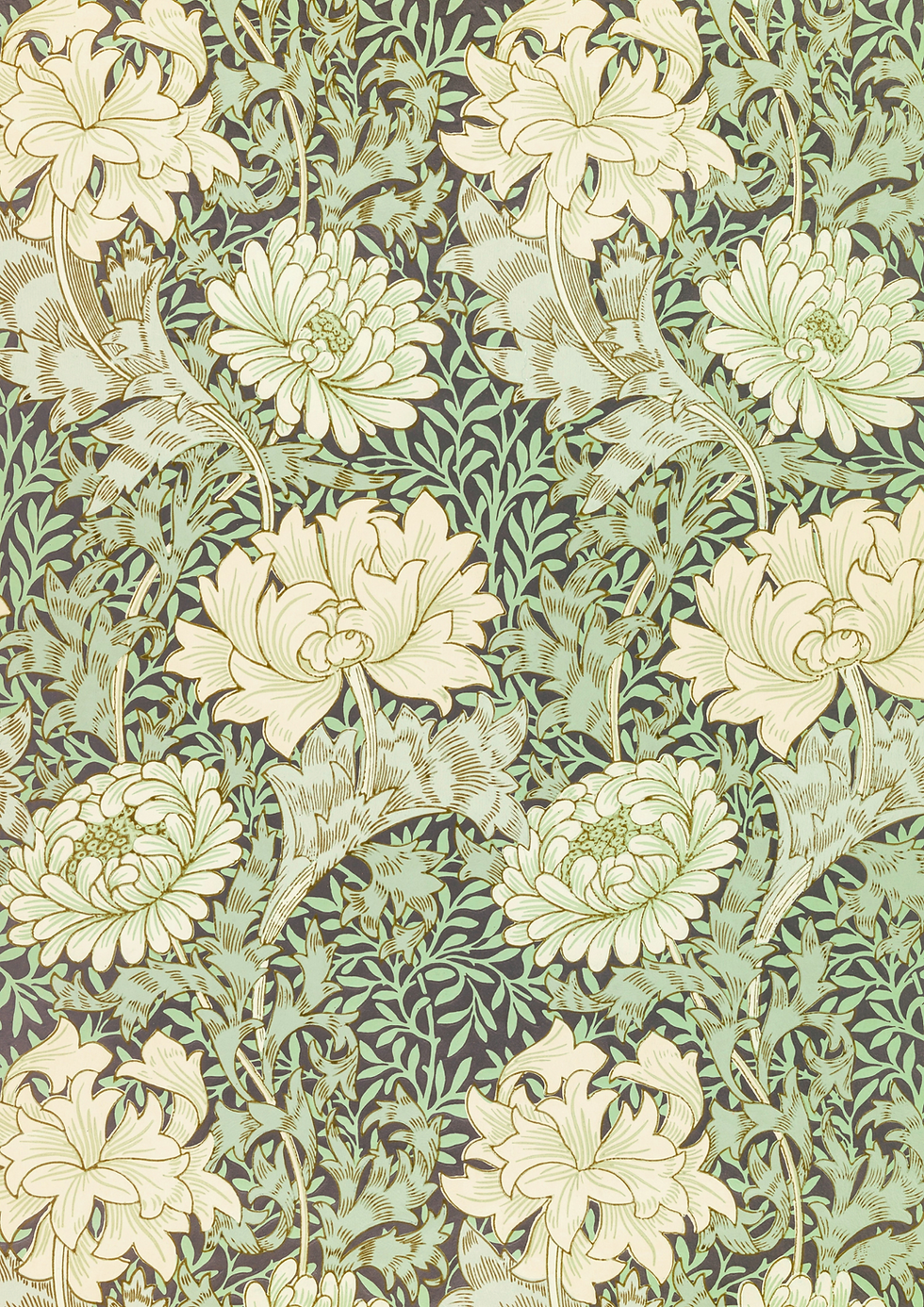 Thumbnail: William Morris Set of 12 Papers