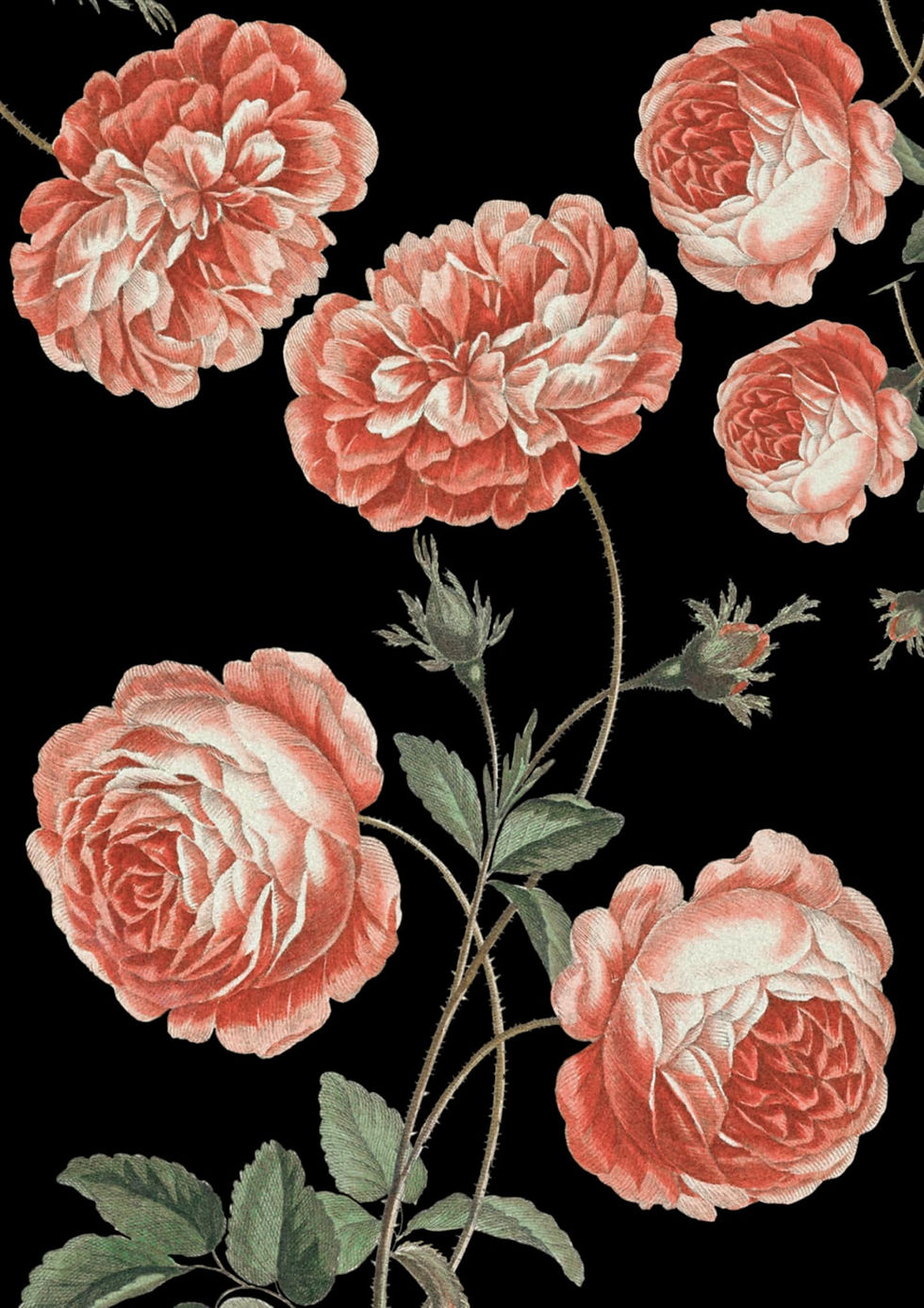 Thumbnail: Special Order - Large Dark Florals Wall Art Set of 12 Papers | Decoupage Paper
