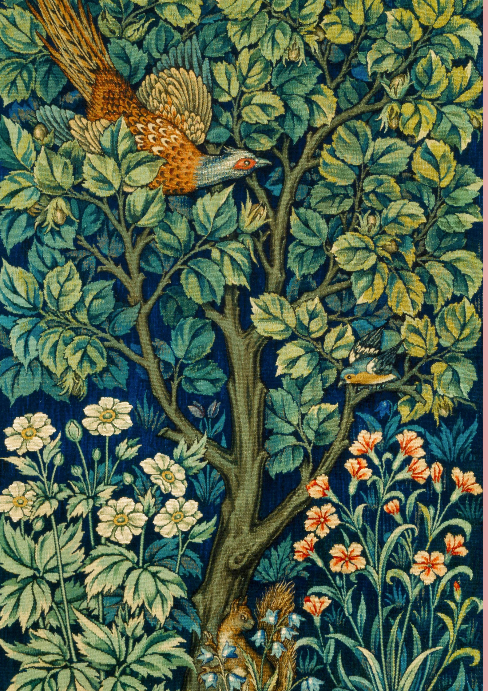 William Morris Set of 12 Papers