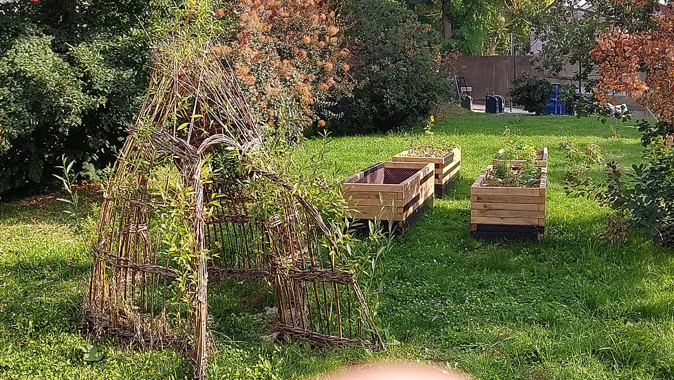 WhatsApp Image 2025-08-12 at 18.54.11.jpeg