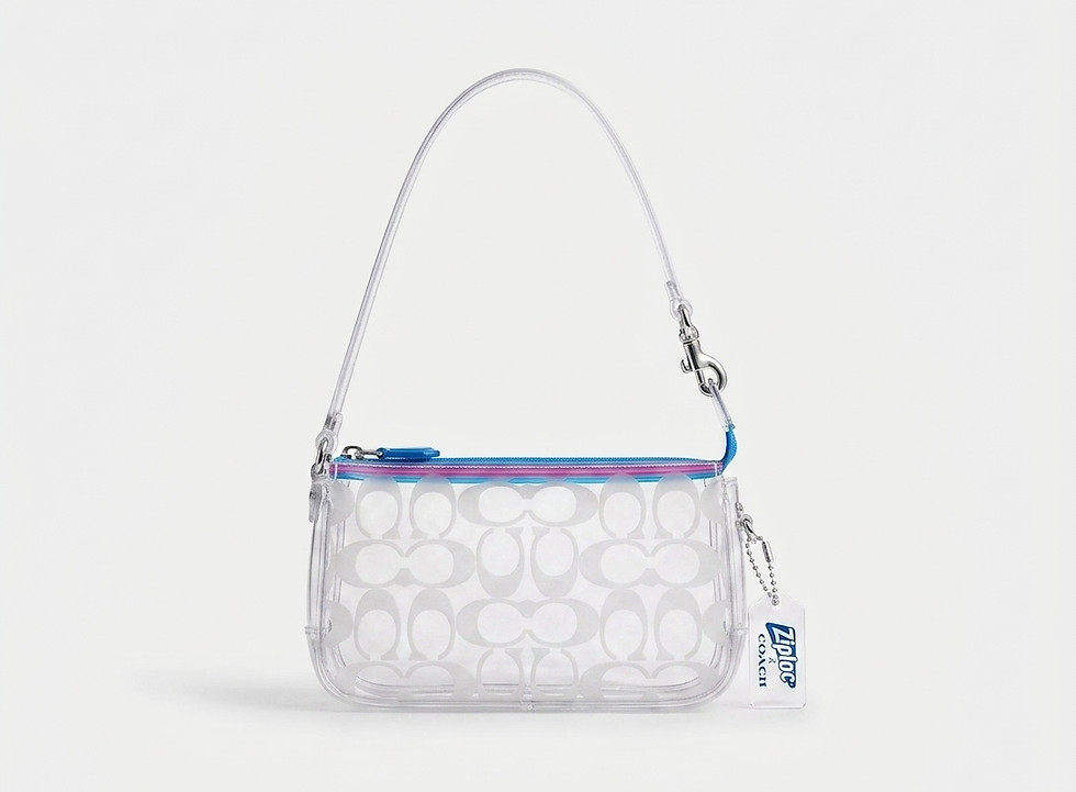 Plaza bag final.jpg