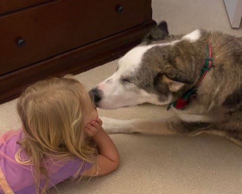 Take Lessons from our Pets