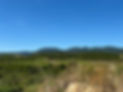 702D3915-D36E-4647-B156-6680FD06345E_1_105_c.jpeg