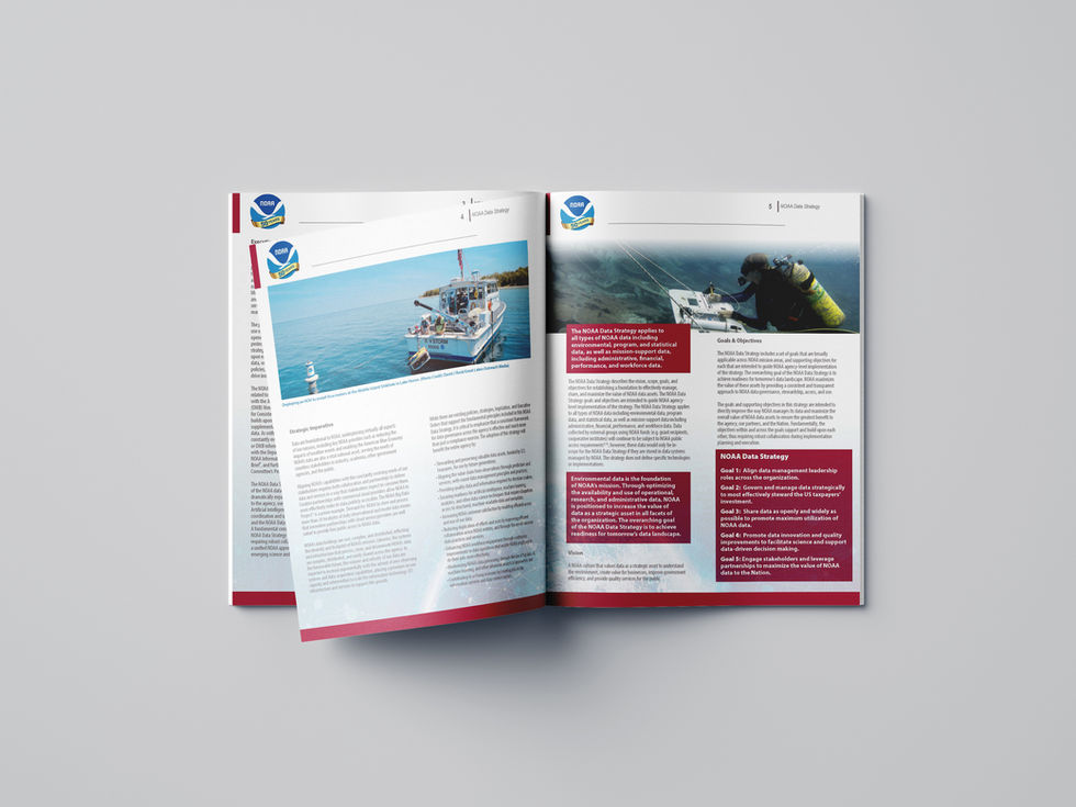 Strategies_Pages_Mockup.jpg