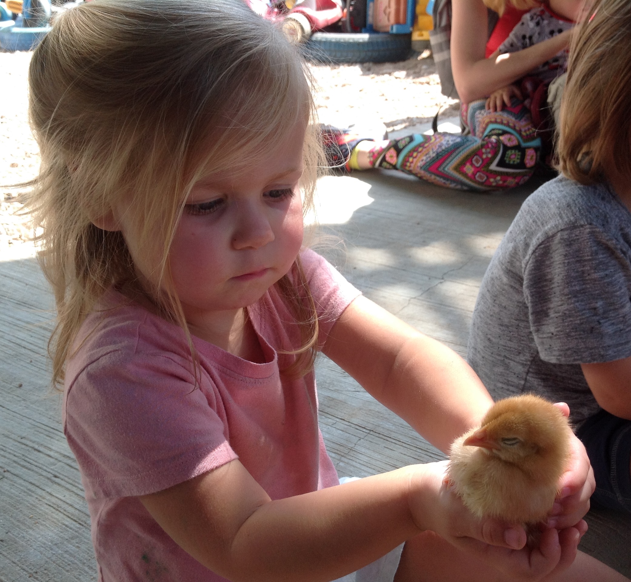 Caring for Animals