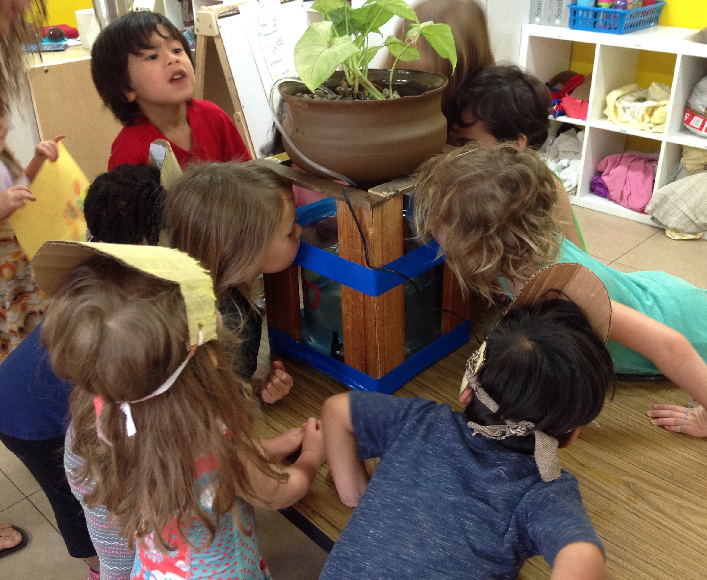 Team Aquaponic!