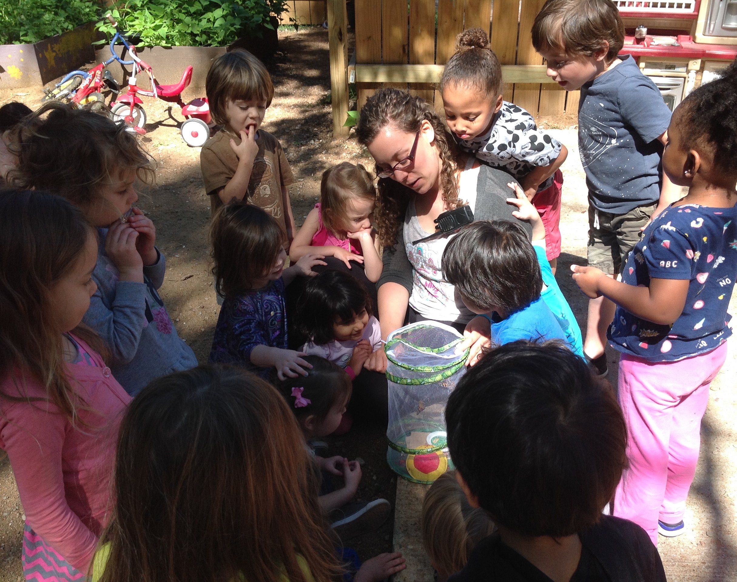 Butterflies Released!