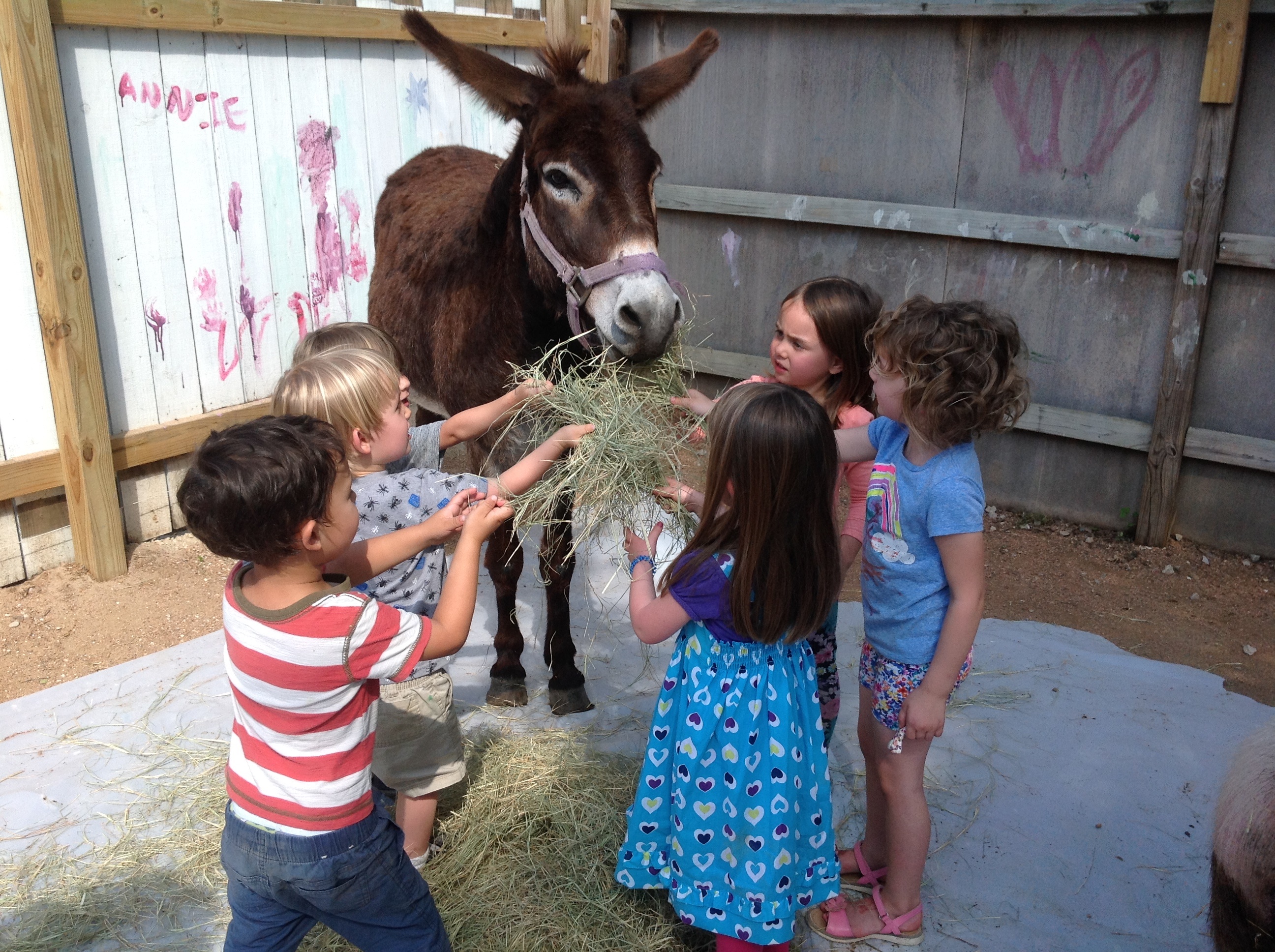 Special guests at Copernicus