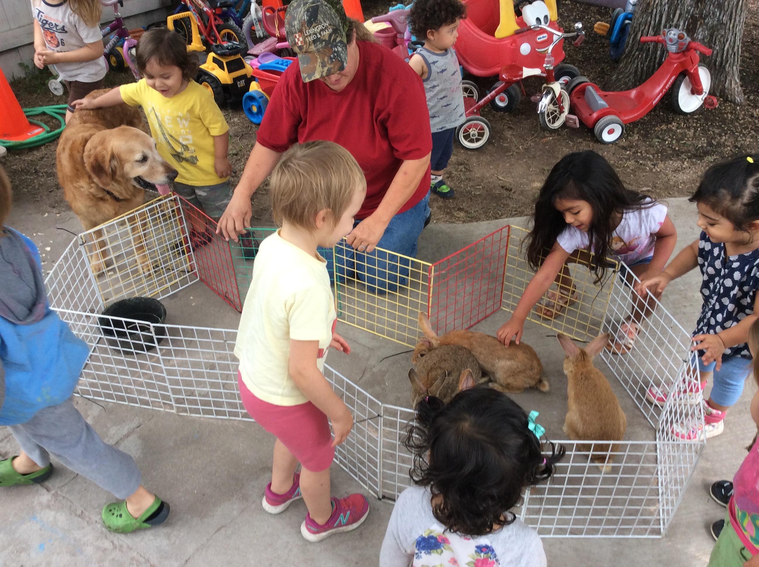 Learning about animals