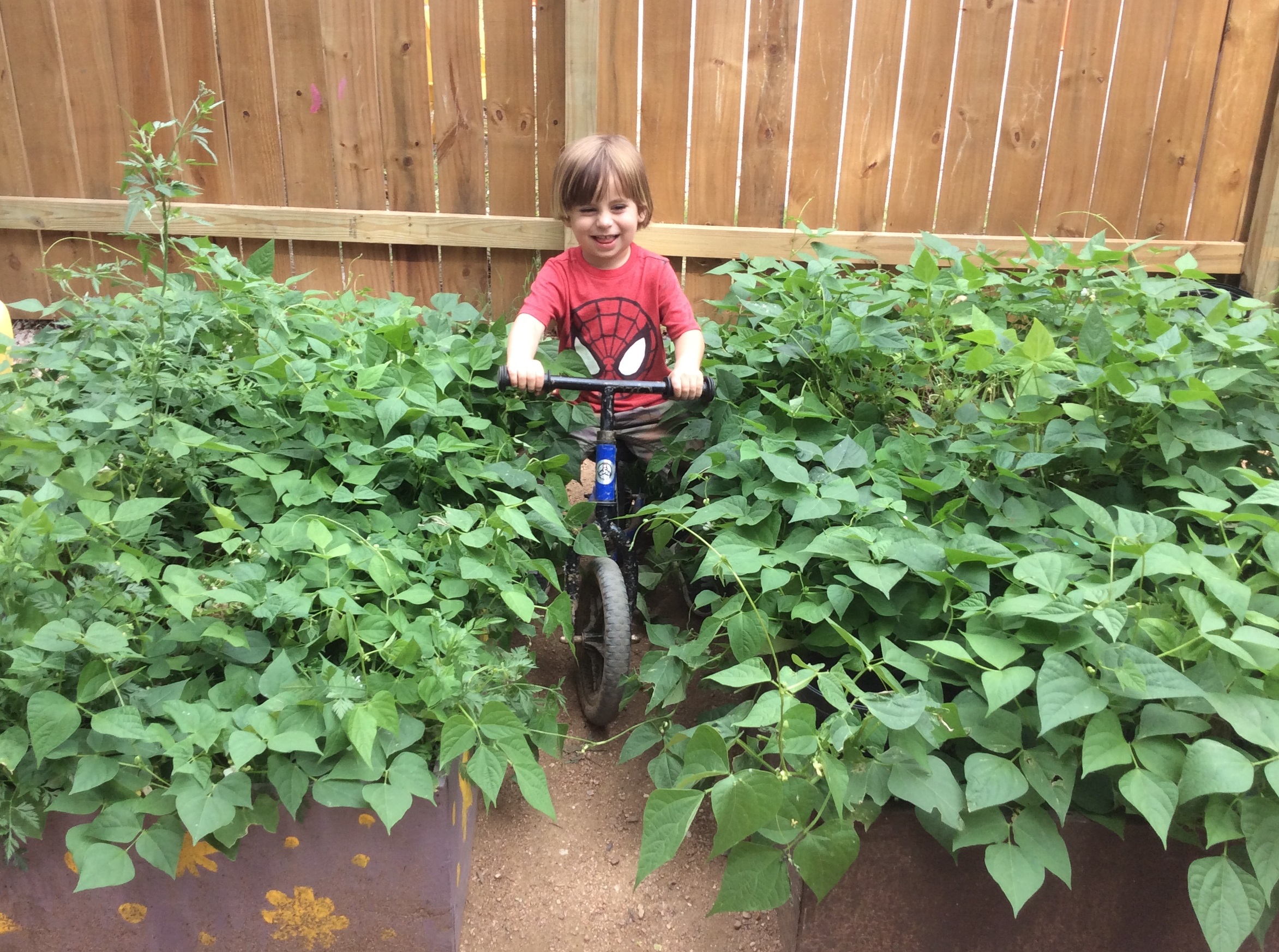 Garden Cruise