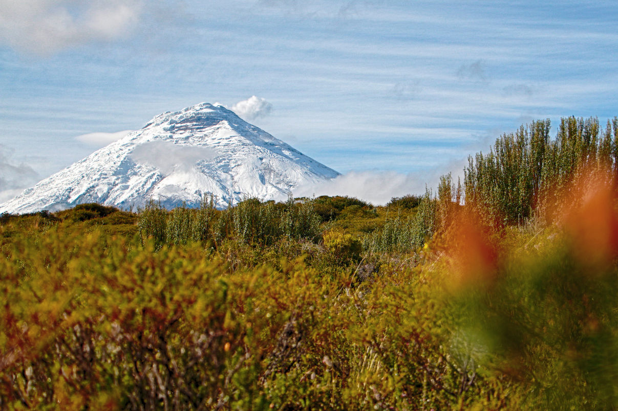 Cotopaxi3_HaciendaLosMortinos.jpg