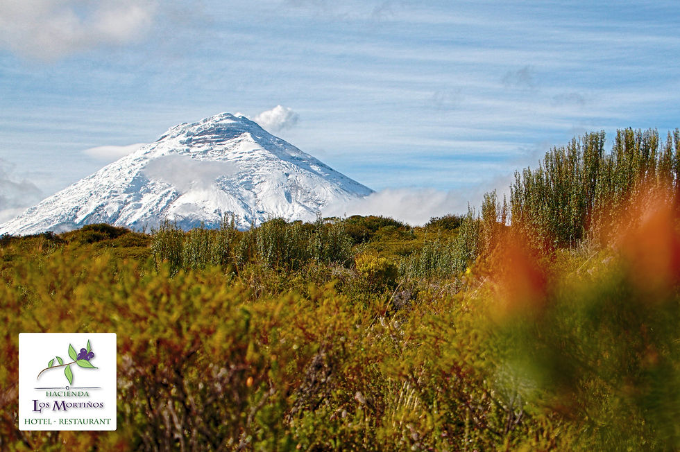 Cotopaxi