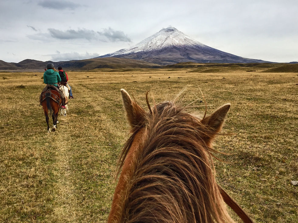 Cabalgatas_HaciendaLosMortinos