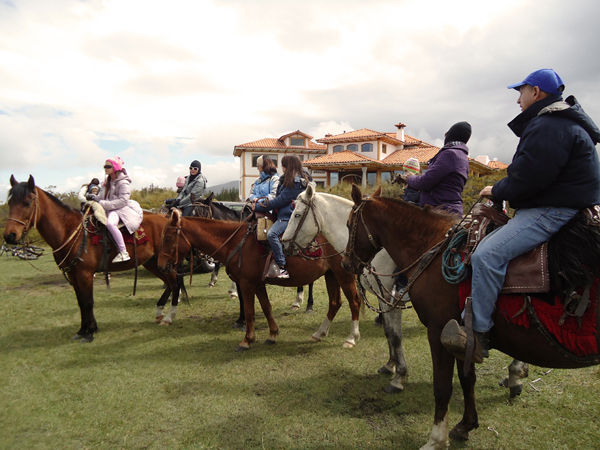 caballos.jpg