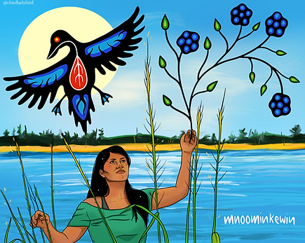 Mnoominkewin Image.png