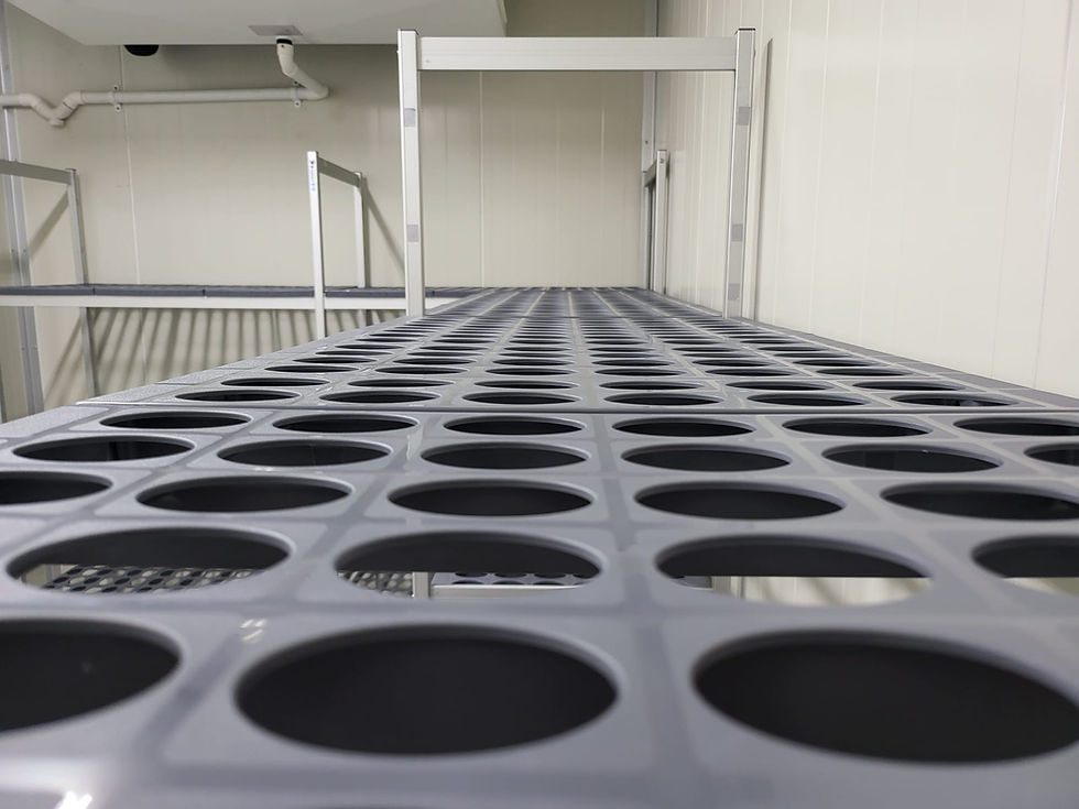 Thumbnail: Food Shelving