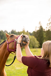 Coralie Delval photographe capture d'émotions en portrait , famille , animaux , mariage