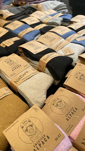 Afbeelding van WhatsApp op 2025-11-24 om 15.31.00_f6eea7a8.jpg