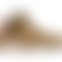 TRAVIS SCOTT  HA CONFERMATO L'USCITA DELLE NUOVE JORDAN 6 BRITISH KHAKI