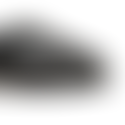 COLLABORAZIONE TRA PARABOOT E THE NORTH FACE