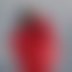 IL GIUBBOTTO DI YZY X GAP SI PUO' TROVARE A BERSHKA?