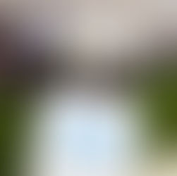 USCIRANNO DELLE NUOVE OFF WHITE?