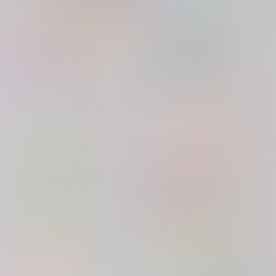 USCIRANNO FINALMENTE LE 5A DUNK PER OFF-WHITE