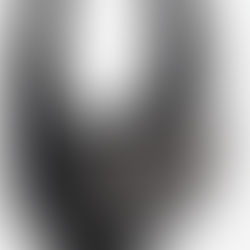 LA BORSA FATTA DI METEORITI