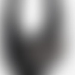 LA BORSA FATTA DI METEORITI